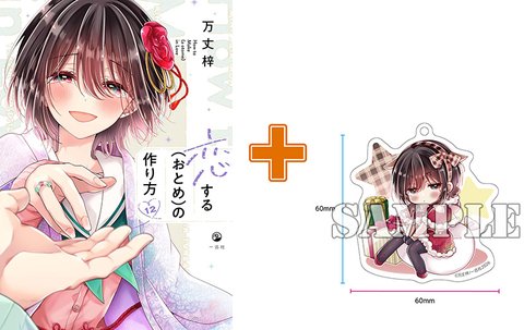 【有償特典付】恋する(おとめ)の作り方(12)