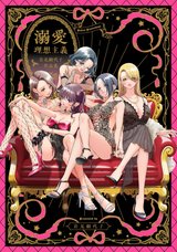 溺愛理想主義~岩見樹代子作品集~