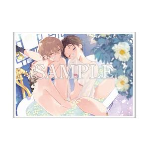 A4判アクリルプレート／仔縞楽々〈ほくろ展〉