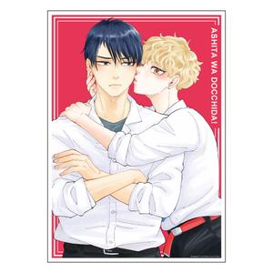 【数量限定・直筆サイン入】A4判アクリルプレート/A 明日はどっちだ!〈こてつこカフェ〉