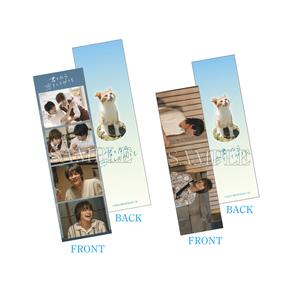 [申込期間：2024年3月13日迄]韓国プリクラ風カード2枚セット〈「なら恋」POPUP〉