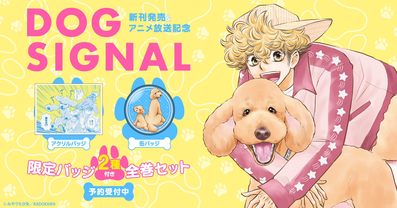 ドッグシグナル DOG SIGNAL (1-10巻 最新刊) 全巻セット/みやうち沙矢 ...
