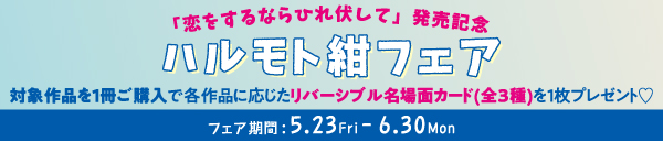 ハルモト紺 フェア