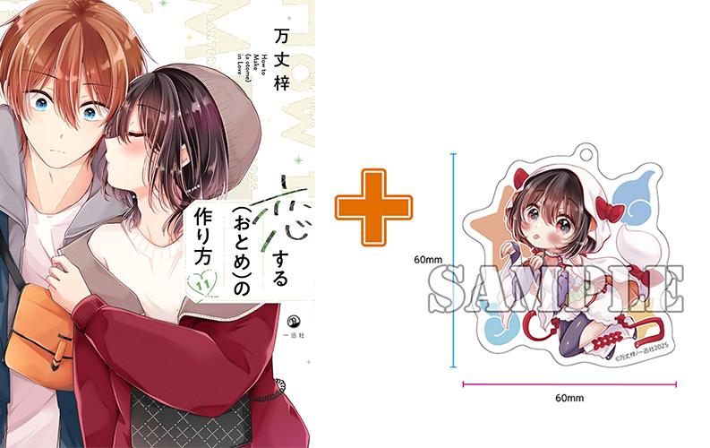 【有償特典付】恋する(おとめ)の作り方(11)