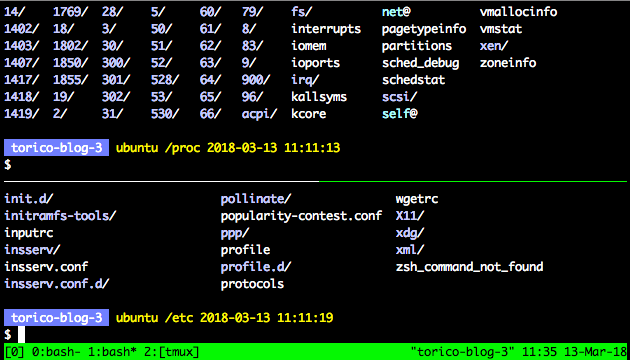 サーバでsshの通信断してもバッチを動かし続けるため Tmux を使うと便利 Nohup より