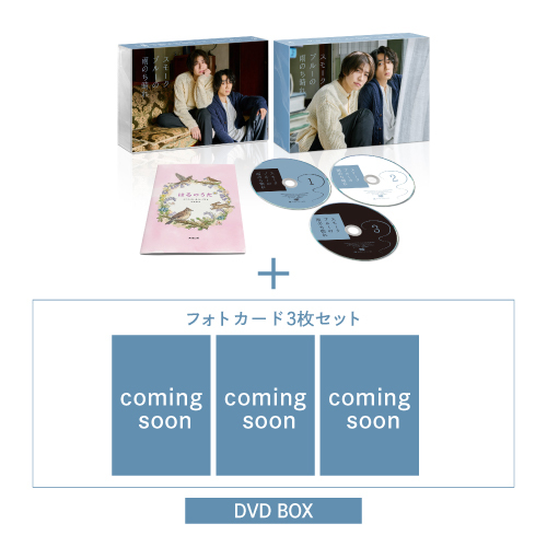 申込期間：2026年11月13日迄]スモークブルーの雨のち晴れ DVD BOX