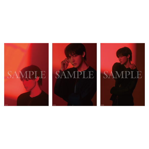 [申込期間：2026年4月16日迄]A4カード3枚セット／赤ver.〈ドラマ「救い、巣喰われ」〉